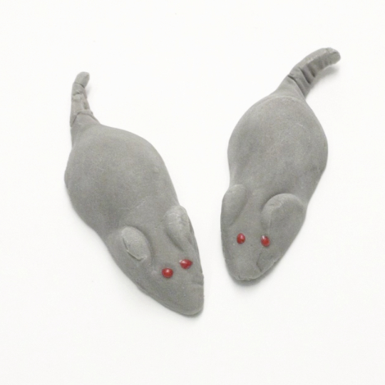 Grey mice